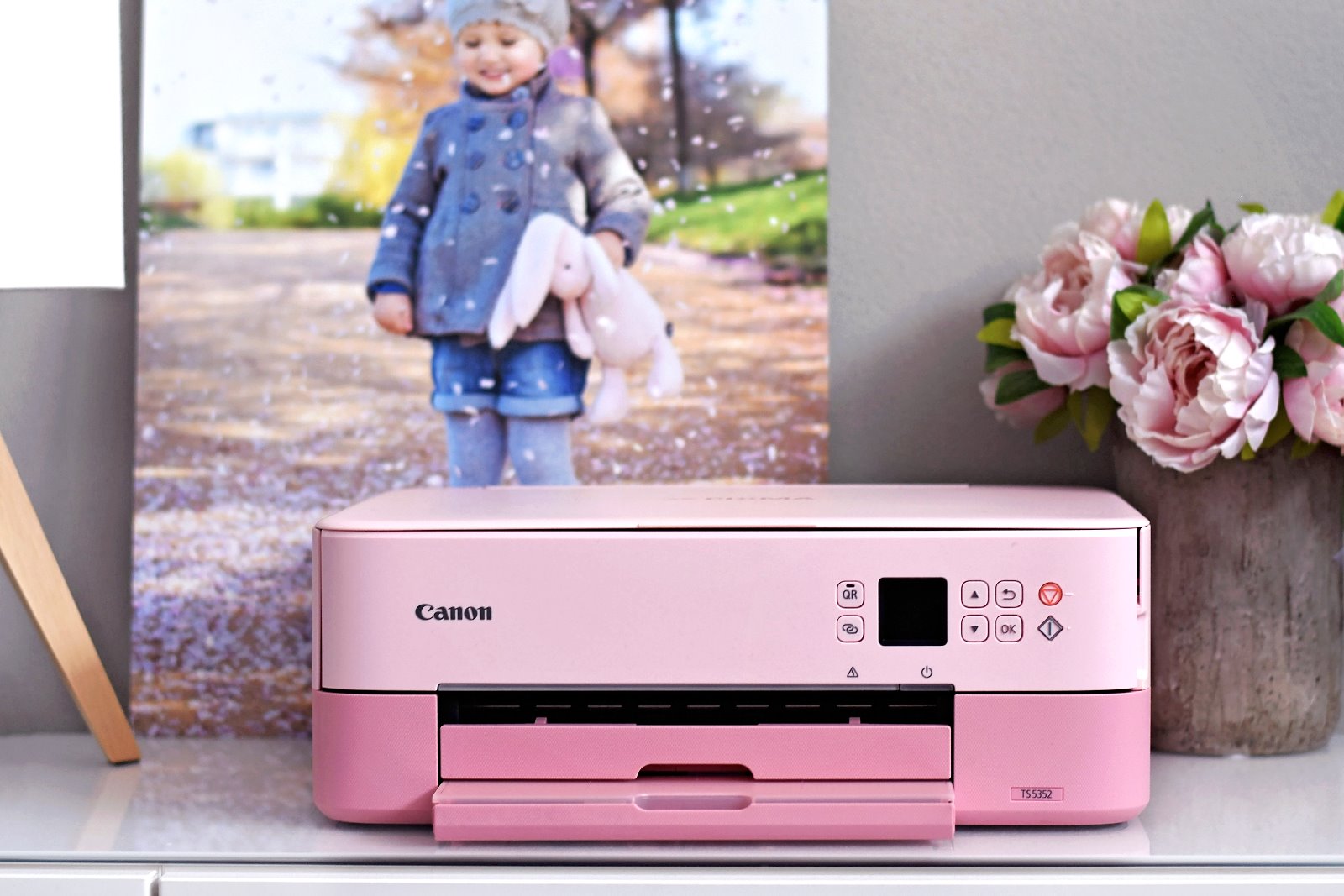 Canon Pixma TS5352 cartuchos